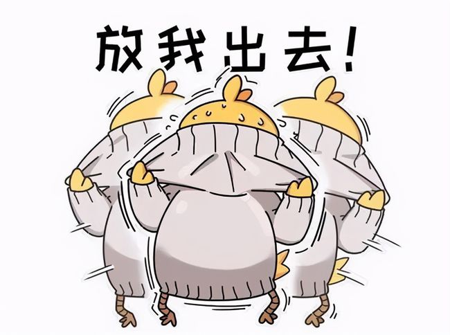 儿童包皮一定要切吗,雷火平台