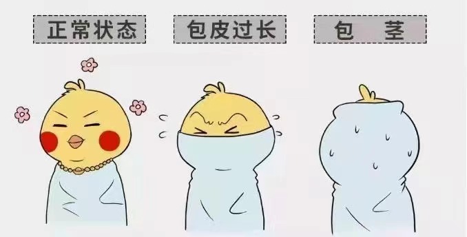 齐齐哈尔包皮包茎雷火平台